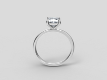 Load image into Gallery viewer, Carolina