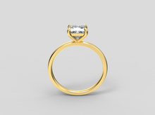 Load image into Gallery viewer, Carolina