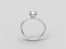 Load image into Gallery viewer, Sofia